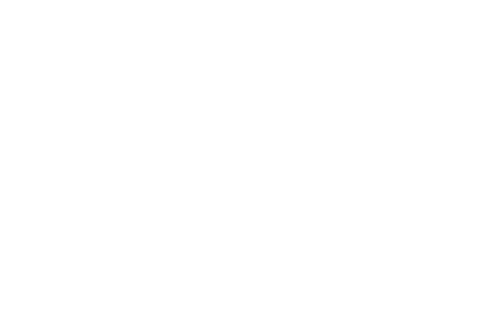 Logo DVN Communication