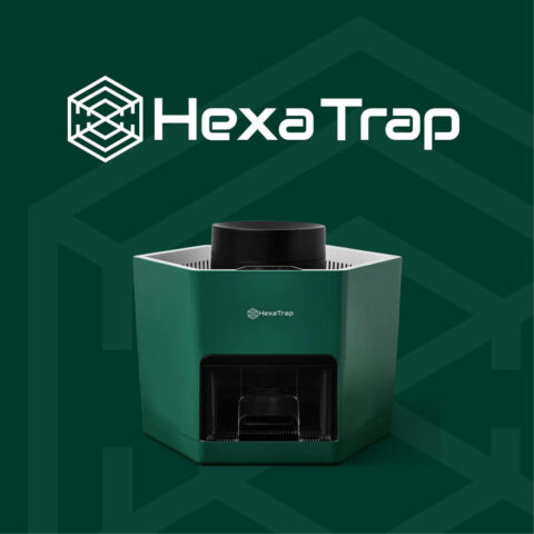 HexaTrap